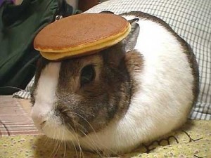 bunny_pancake-300x225